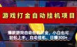 爆款游戏自动挂机打金，小白也可轻松上手，自动挂机，日赚300+