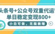 头条号+公众号双重代运营，小白可做，无脑躺赚，单日稳定变现800+