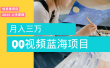 蓝海赛道，简单搬运去重QQ视频，入手即赚，新手小白也能做到月入3w，实战教程