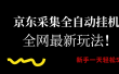 京东采集全自动挂机，全网最新玩法，新手一天轻松500+