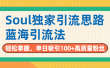 Soul独家引流思路，单日吸引100+高质量粉丝，蓝海引流法，轻松掌握