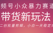 视频号小众暴力赛道，最新带货玩法 小白也能轻松日入500+ 保姆及教程