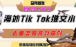 海外tiktok小说推文暴力项目，高停留率，高转化率，上手后一天搞顿饭钱不是问题