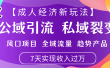 首发：【成人经济新玩法】市面独家玩法，风口项目、全域流量、趋势产品，7天实现月入过万