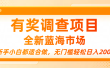 有奖调查项目，全新蓝海市场，新手小白都适合做，无门槛轻松日入200+