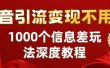 抖音引流变现不用愁：1000个信息差玩法深度教程