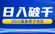 日入破千，2025最新搭子项目
