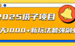 2025搭子项目每天1000+新玩法最强副业