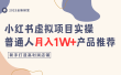 小红书虚拟项目实操指南，普通人月入1W+产品推荐，直接抄