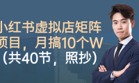 小红书虚拟店矩阵项目，月搞10W（共40节，照抄照做）