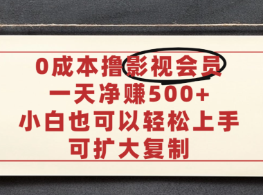 亲测，0成本可批量操作，靠卖影视会员实测月入30000+