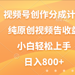 视频号创作分成计划，纯原创视频告收益，新手小白轻松上手，日入800+