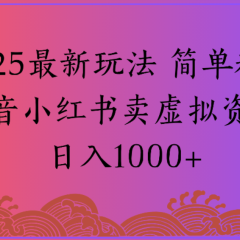 2025最新玩法，简单粗暴通过抖音小红书卖虚拟资料日1000+