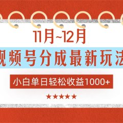 11月~12月视频号分成最新玩法，小白单日轻松收益1000+！