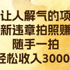 真让人解气的项目，最新违章拍照赚钱，随手一拍，轻松收入3000+