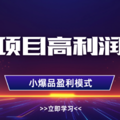 淘宝虚拟店铺，高利润玩法，高客单选品技巧，单店月入1W+