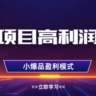 淘宝虚拟店铺，高利润玩法，高客单选品技巧，单店月入1W+