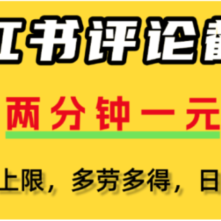 小红书评论区评论截图，一分钟2条，可日入几千，多劳多得