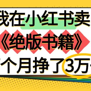 我在小红书卖《绝版书籍》两个月挣了3万+