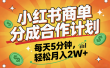 2025副业黑马项目，0门槛小红书项目，小白也能轻松月入2万+