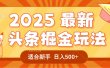 2025惊爆！头条掘金逆天改命玩法，AI一键生成爆款文章，只要会复制粘贴，一天日入500+轻松到手