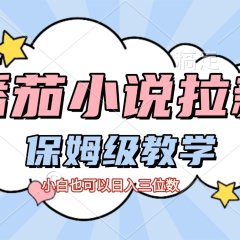 番茄小说拉新，保姆级教程，小白也可以日入三位数【下面那个简介错了】