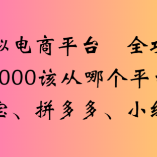 虚拟电商平台,该从哪个平台入手(淘宝、拼多多、小红书)全攻略日入1000