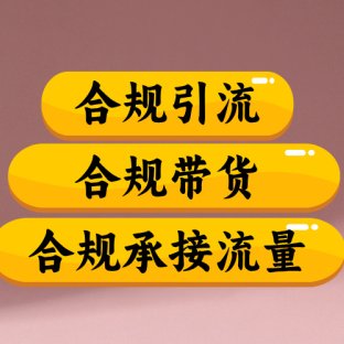 合规引流、合规并且高效地做带货、合规承接流量（揭秘）