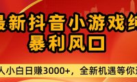 最新抖音小游戏纯暴利风口!小白单日稳赚3000+,全新机遇千万别错过