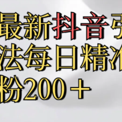 真实免费分享,最新抖音引流,方法每日精准引流创业粉300+