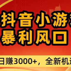 最新抖音小游戏纯暴利风口!小白单日稳赚3000+,全新机遇千万别错过