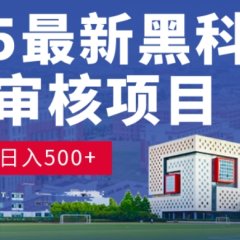 神级视频审核黑科技玩法炸裂来袭,10秒秒变下单机器,日夜狂揽订单,新手小白日进500+,财富火箭式飙升!