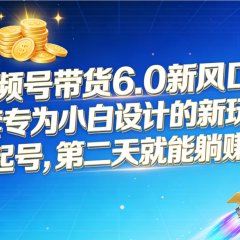 视频号带货6.0新风口!一套专为小白设计的新玩法,暴力起号,第二天就能躺赚收益