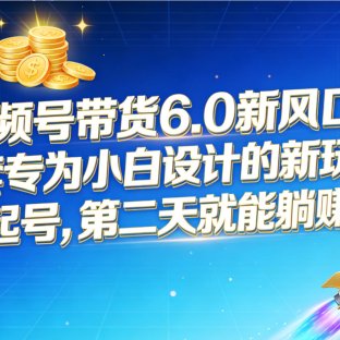 视频号带货6.0新风口!一套专为小白设计的新玩法,暴力起号,第二天就能躺赚收益
