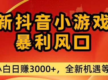 最新抖音小游戏纯暴利风口!小白单日稳赚3000+,全新机遇千万别错过